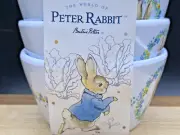BEATRIX POTTER Peter Rabbit Melamine 3.5" Snack/Appetizer Bowls (SET of 4 ) NEW