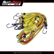 Auto Force Bungee Cord Assortment 8 Piece | CPB8ASST