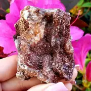 Fossilized Agate shell Cluster druzy natural crystal healing gemstone - #13A
