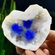 117G Indian dandelion zeolite Quartz Crystal Cluster Mineral Specimen