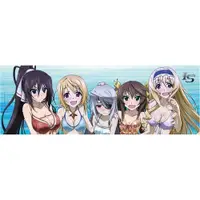 在飛比找蝦皮商城優惠-IS2 (Infinite Stratos2) 運動毛巾 (