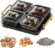 Sectioned Serving Tray | Food Storage Lunch Organizer | Transparent Modern Light Luxury Anti-Slip Portable Divided Serving Tray with Lid and Moveable Compartment for Party, Christmas Decor