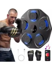 Smart Bluetooth Music Boxing Machine with Gloves, Wall Mounted Boxing Trainer fo