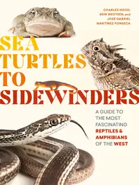 在飛比找誠品線上優惠-Sea Turtles to Sidewinders: A 