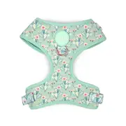 Holly & Co Pretty Fly For A Cacti Medium Green Stylish Dog Harness