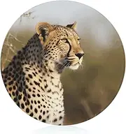 Chopping Blocks, Wild Animal Leopard Printed Chopping Block,fruit Chopping Block,thickened Chopping Block,round Chopping Block