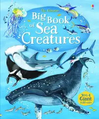 在飛比找博客來優惠-Big Book of Sea Creatures