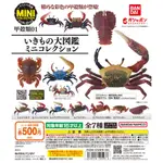 BANDAI 生物大圖鑑 甲殼類01 扭蛋 螃蟹 旭蟹 招潮蟹