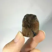 Chiastolite Specimen 170823 Stone of Balance and Stability Metaphysical Reiki