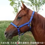 牽馬籠頭馬場馬術用品小馬馬龍頭套繩馬騾驢全套馬籠頭繩子驢籠頭