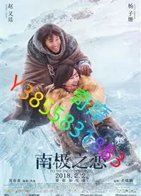 在飛比找Yahoo!奇摩拍賣優惠-DVD 專賣店 南極之戀/南極絕戀/Till the End