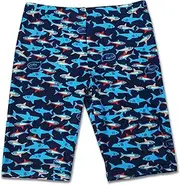 [Aivtalk] Boys' Quick Dry UPF 50+ Beach Swim Trunk Toddler Jammers for Swimming