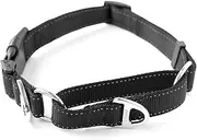 Mighty Paw Nylon Martingale Training Collar, Premium Quality Limited-Cinch Collar with Reflective Stitching