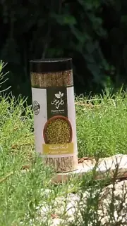 Discover The hearty Goodness of Coarse Freekeh Fresh Freekeh, Wholesome Grain