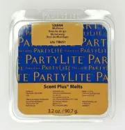 PartyLite Scent Plus Melts 9 pc Retired Scent New Mistletoe P7E/SX844/Bin 9