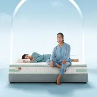 在飛比找Yahoo!奇摩拍賣優惠-床墊林氏家居家用臥室泰國天然乳膠床墊靜音軟墊家用床墊椰棕乳膠