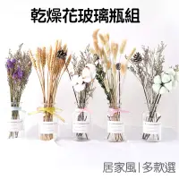 在飛比找蝦皮商城優惠-乾燥花花瓶 木棉花兔尾草乾花玻璃瓶套裝 裝飾 拍照花束 擺拍