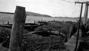 1934 Barges lined up at a pier on the Clarence River Australia OLD PHOTO
