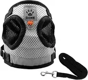 Cat Dog Harness and Lead Set for Walking, Double Mesh Cloth Adjustable Soft Harness and Lead for Small Medium Pets (Grey, L)