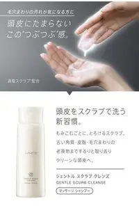 在飛比找Yahoo!奇摩拍賣優惠-日本花王 新發售 ines 海鹽洗髮乳，布列塔尼海鹽/佛手柑