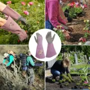 Breathable Long Gloves Working Planting Pruning Mitts Garden