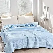 NuvoDreams Cooling Blanket Queen, NuvoDreams Silk Cooling Blanket, Solid Color Full Size Thin Summer Comforters Ice Silk Quilt, Breathable Lightweight Smooth, for Hot Sleepers (Light Blue,79 * 90in)