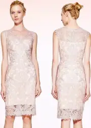 Tadashi Shoji Metallic Corded Embroidered Tulle Lace Petal Silver Dress 16