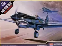 在飛比找露天拍賣優惠-ACADEMY 愛德美 1/48 P-40 FLYING T