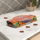 10 Pack Roach Killer Adhesive Glue Traps for Roaches Insects Home Cockroach Trap