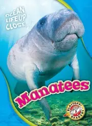 Manatees by Rebecca Pettiford (English) Hardcover Book