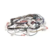 Pitco B6752401 Wrg, Cntrl Lft/Sngl Meii