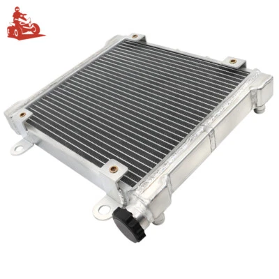 Aluminum Radiator For Can-Am Bombardier DS650 X 2 Row with Cap 709200145