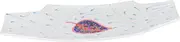 Fish Shaped Sushi Dish Creative Ceramic Serving Plate for Sashimi Appetizers Multipurpose Dining Plate Present for Sushi Lovers Easy to Clean Sturdy Design
