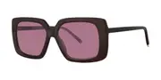 Paradigm Ross Aperitif Women’s Sunglasses Brown Size 54
