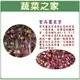 【蔬菜之家】J12.紫高麗菜芽種子(芽菜種子)1000顆、 70公克(約1萬3千顆)(共兩種包裝可選)