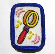 Cadette Senior GSI: GIRL SCOUT INVESTIGATE BADGE Council Own Patch IP IPP