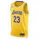 NIKE LAL MNK DF SWGMN JSY ICN 22 球衣 湖人隊 LeBron James-DN2009733