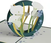 Lovepop® 3D Pop-Up Card Premium Sympathy Card with White Lily for Sympathy Condolence Card for Condolence and Funeral Includes Envelope & Note Card for Condolence Message