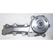 Powermax Water Pump - W900