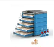 500 Capacity Egg Incubator Fully Automatic Dual Power