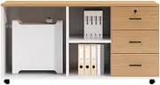 Filing Cabinet Office File Cabinet Under The Desk Desk Storage Cabinet Storage Side Cabinet Drawer Cabinet with Lock Side Cabinet Short Cabinet Storage Cabinet File Storage Cabinets