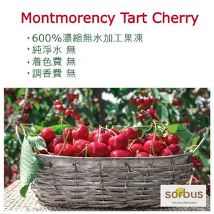 [Sorbus] 現貨 Montmorency Tart Cherry 38.8 膠原蛋白 Jelly 7個(7天份)