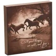 Big Sky Carvers/David Stoecklein B5210056 THE CROSSING 8x8 Canvas Photo Wall Art