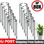 UP 80X Stakes Plant Support Stand Frame Garden Climbing Trelli Flower Stand Cage