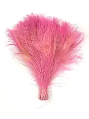 50 BLEACHED PEACOCK TAILS - LIGHT PINK Feathers 10-12"
