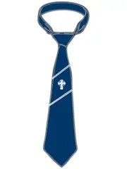 Navy Ties Snr