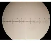 Microscope Eyepiece Graticule Measuring Glass Ø 19 mm 10 mm./100 dev.+Crosshair