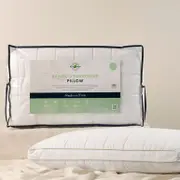 Bamboo Surround Medium/Firm Pillow [GFBBAMMF22]