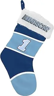 FOCO NASCAR Ross Chastain Embroidered Colorblock Stocking