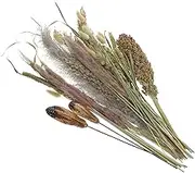 1 Bundle of Natural Dried Preserved Faux Grass Decor for Home Office Weddings and Parties Fluffy Arrangement No Watering Needed